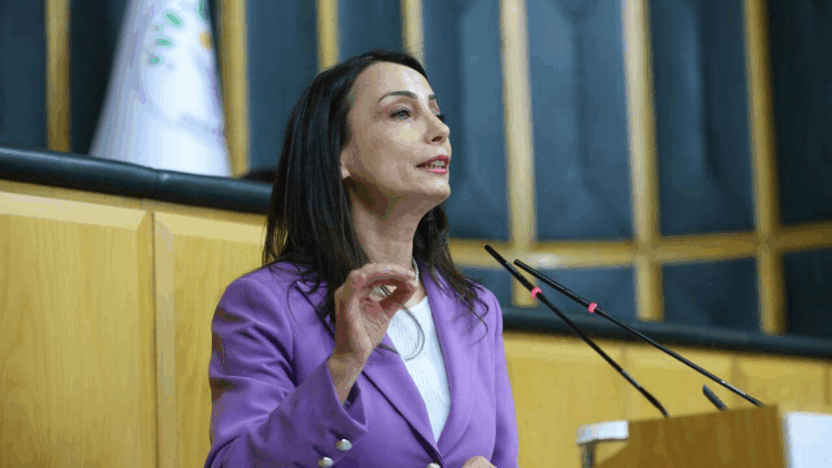 Nükleer silah demek, Hiroşima ve Nagazaki demektir