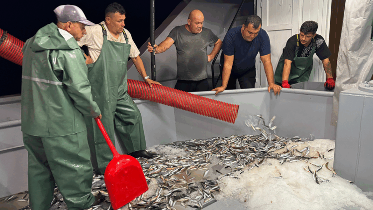 Ordu'da balıkçılar, sezonun ilk avını gerçekleştirdi