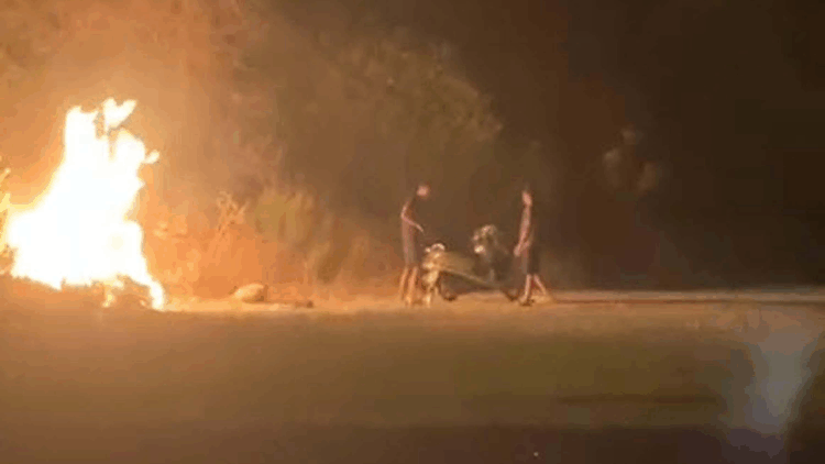 Ormanı yakan şüpheliler adli kontrol şartıyla serbest!