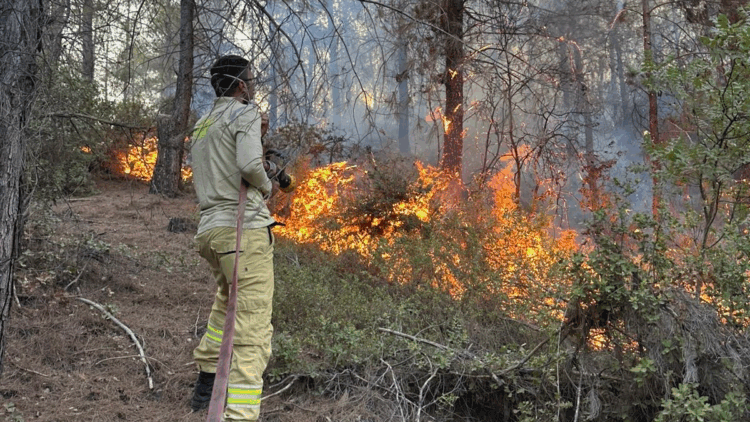 Osmaniye'deki orman yangını 1 saatte söndürüldü