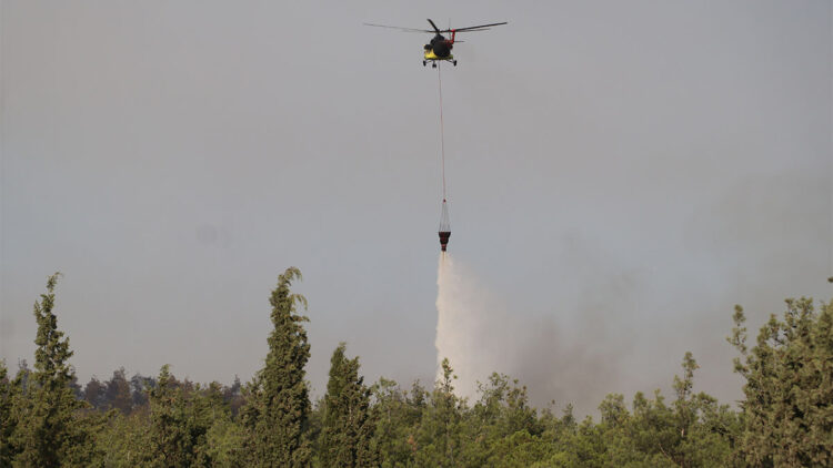 Pamukkale'de çıkan orman yangını söndürüldü; 3 gözaltı