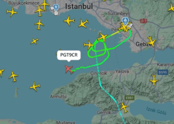 Pistteki kuşlar uçuş trafiğini olumsuz etkiledi