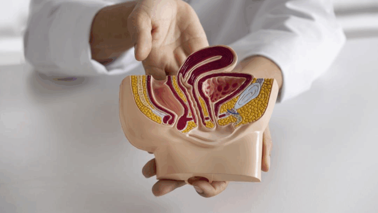 Prostat kanserinde evre 1 ve 2’de tam iyileşme şansı yüksek