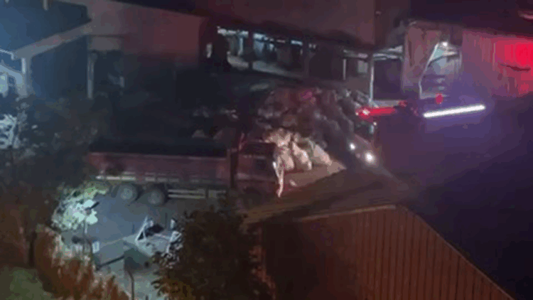 Rize'de çay fabrikasında çıkan yangın söndürüldü