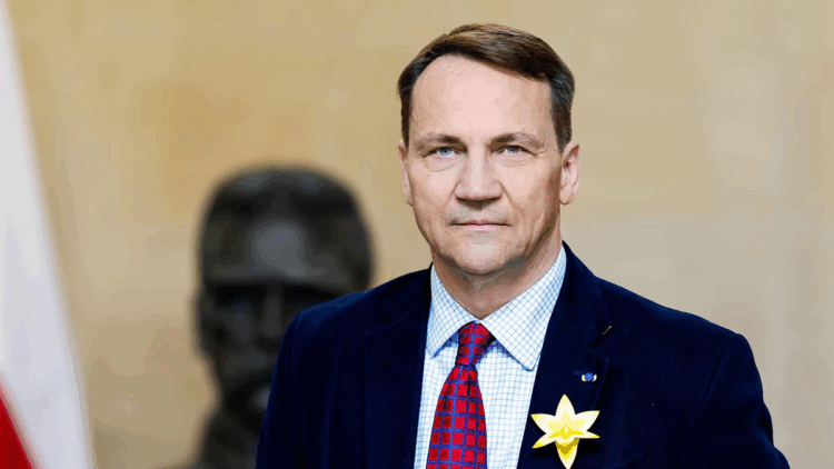 Rusya'nın İHA saldırıları NATO ve müttefiklerini test ediyor