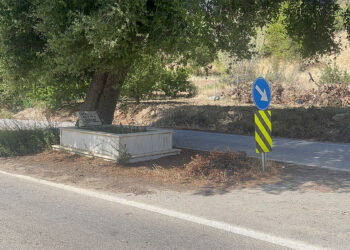 Yolun ortasında kalan mezar görenleri şaşırtıyor
