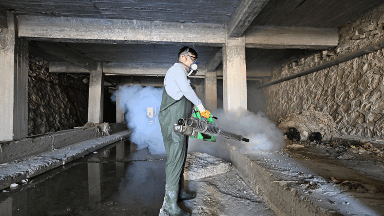 Sığırlarda görülen üç gün hastalığını önlemenin yolu, sinekle mücadele