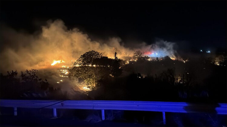 Tekirdağ'daki anız yangını kontrol altına alındı