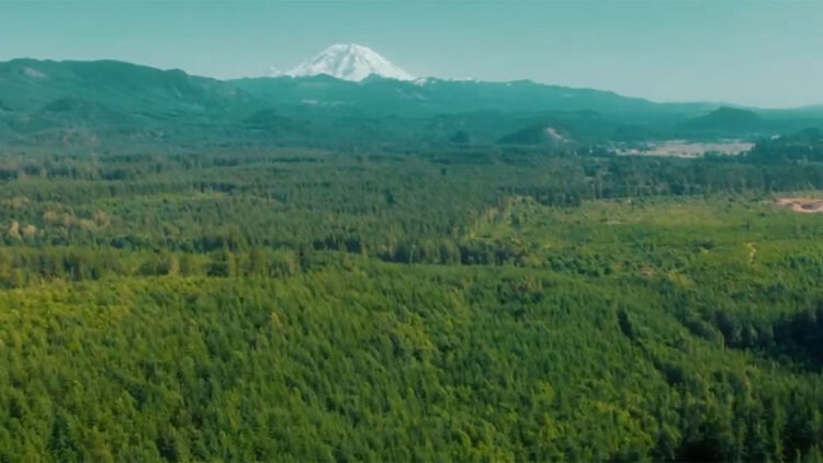 New York’ta ‘Sıfır Atık Mavi-Damla Damla’ sergisi düzenlenecek