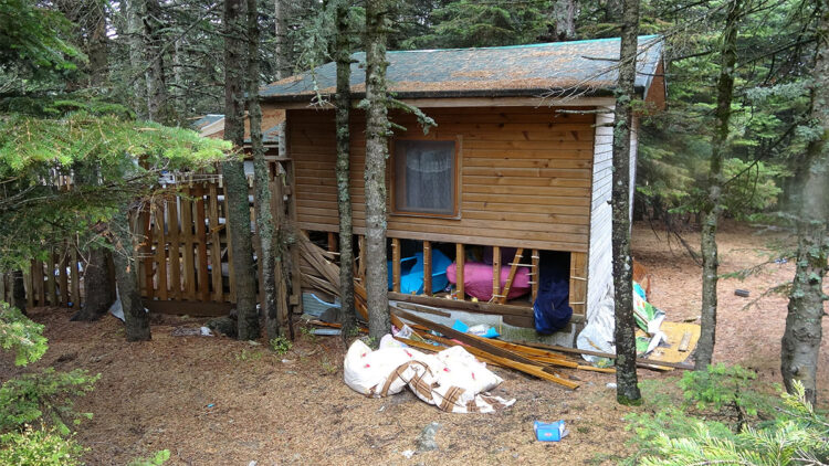 Uludağ'da ayılar tatilcilerin yiyecek bıraktığı barakalara zarar verdi