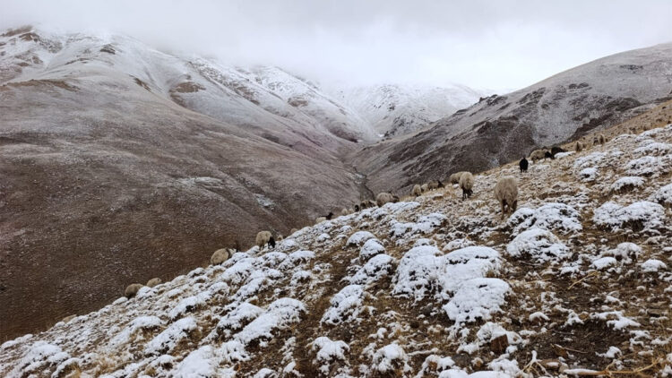 Başkale'nin yüksek kesimlerine kar yağdı