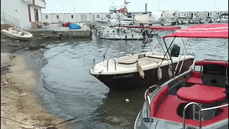 Yalova'da çevre kirliliğine neden olan 2 belediyeye 4 milyon TL ceza