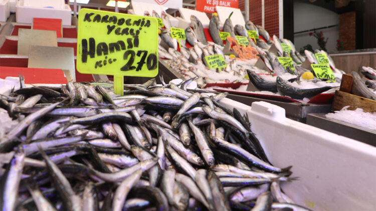 Ağlara takılan ilk balıklar tezgahlarda yerini aldı; Hamsi 270 TL'den satılıyor