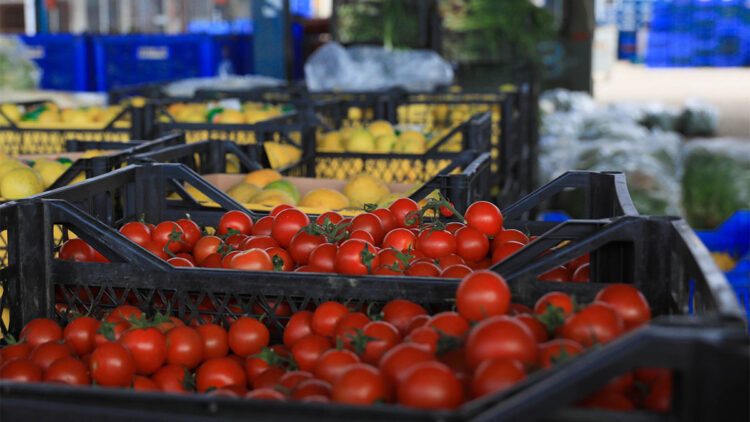 Yurt dışından kalıntı nedeniyle geri dönen ürünler bize mi yediriliyor?