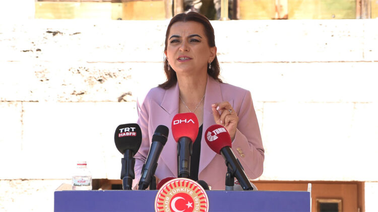 Komisyon bir an önce Ada'ya gitmeli