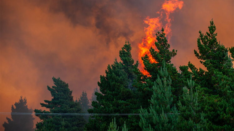 3 ildeki orman yangınlarına ilişkin açıklama