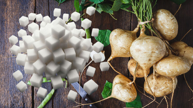 Şeker pancarının 2025-2026 alım fiyatı belli oldu