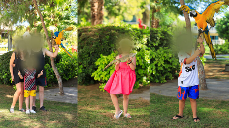 Papağanlarla fotoğraf çekilmesi yasaklandı