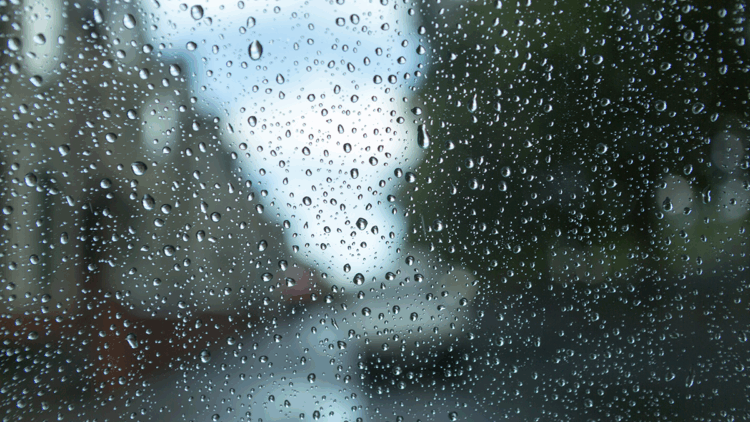 16 Ekim 2025 hava durumu: Meteoroloji'den bazı iller için sağanak ve sis uyarısı