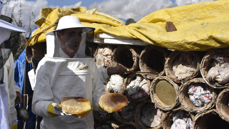 Bitlis'te kara kovan bal hasadı yapıldı