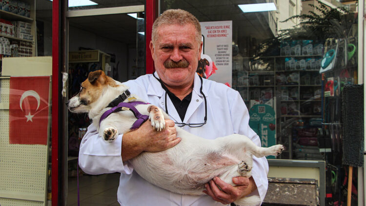 Bilinçsiz ilaç tüketimi hayvanlarınızın canına mal olabilir