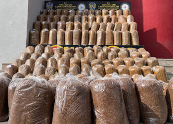 Adana'da 2 ton kaçak tütün ele geçirildi; 20 gözaltı