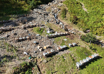 Artvin'de sel ve heyelanlarda arı kovanları da zarar gördü