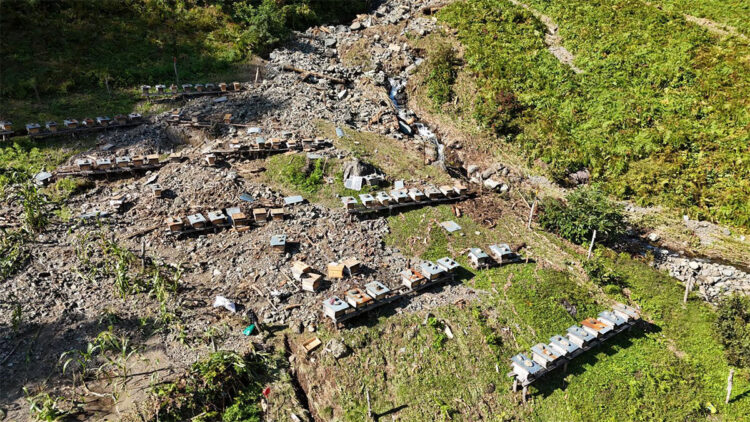 Artvin'de sel ve heyelanlarda arı kovanları da zarar gördü