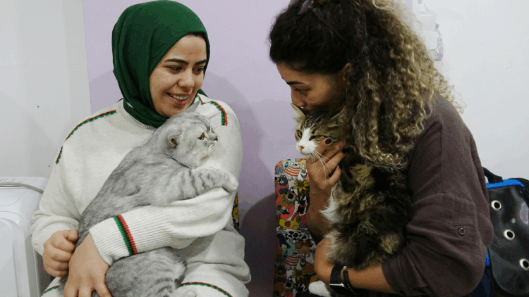 Anemi hastası kedi 'Nazlı', donör 'Casper'ın kanıyla sağlığına kavuştu