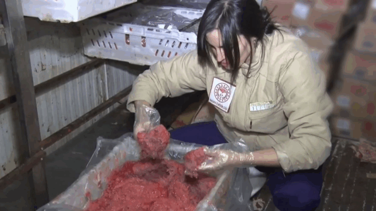 Ankara'da uygunsuzluk tespit edilen 16,7 ton hayvansal gıda imha edildi