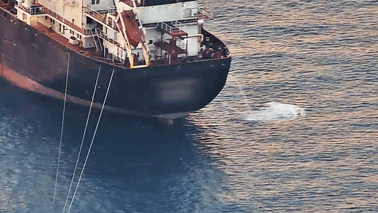 Antalya'da 'deniz çöpleri' seferberliği