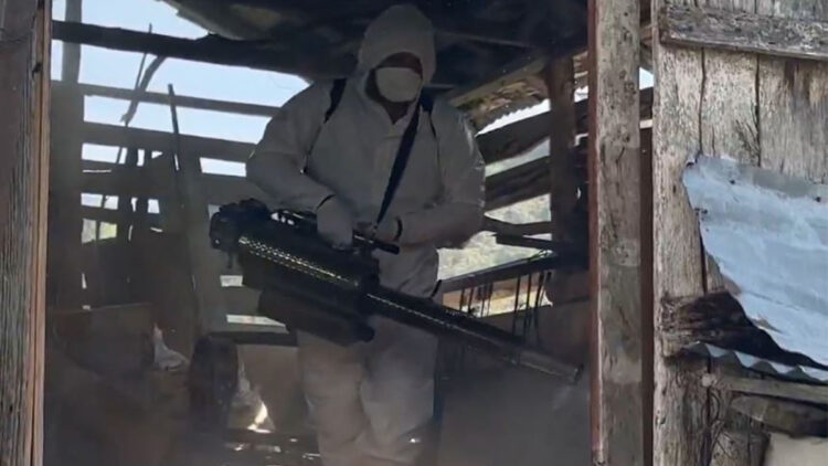 Kahverengi kokarcaları önlemeye yönelik 1 milyondan fazla hanede ilaçlama yapıldı