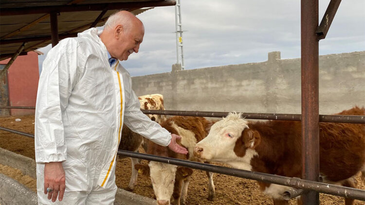 Şap hastalığından mağdur olan işletmelere destek verilmeli