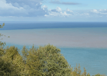 Bartın Irmağı'nın taşıdığı çamur nedeniyle denizin rengi değişti