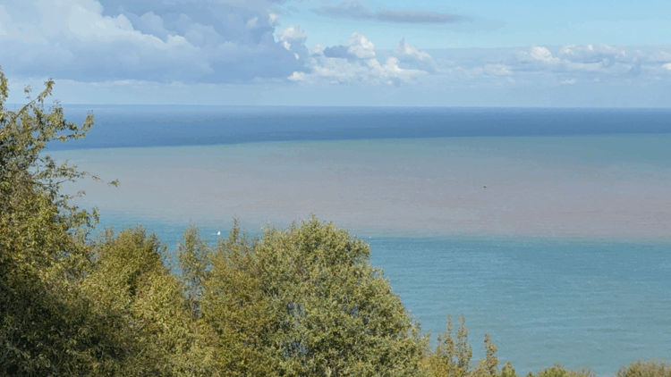 Bartın Irmağı'nın taşıdığı çamur nedeniyle denizin rengi değişti