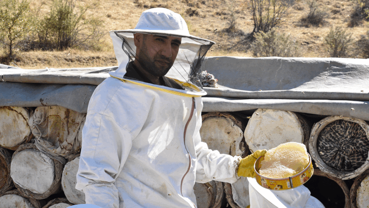 Bitlis’te kara kovan balının hasadı başladı