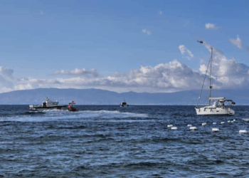 Bodrum'da göçmen botu faciasına ilişkin 17 gözaltı