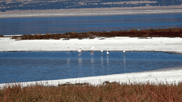 Bundan sonra bütün göller küçülme trendinde