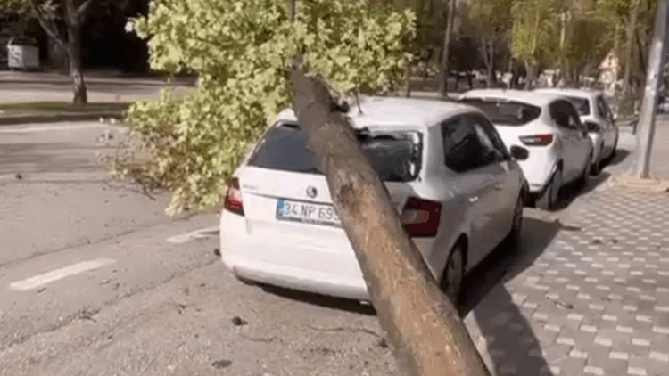 Bursa'da lodos etkili oldu; ağaçlar devrildi, çatılar uçtu