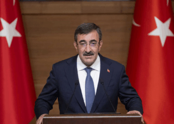 Cari dengedeki olumlu görünüm, dezenflasyona katkı veriyor