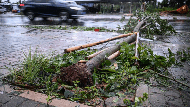 Çin'de Matmo tayfunu nedeniyle yaklaşık 200 bin kişi tahliye edildi