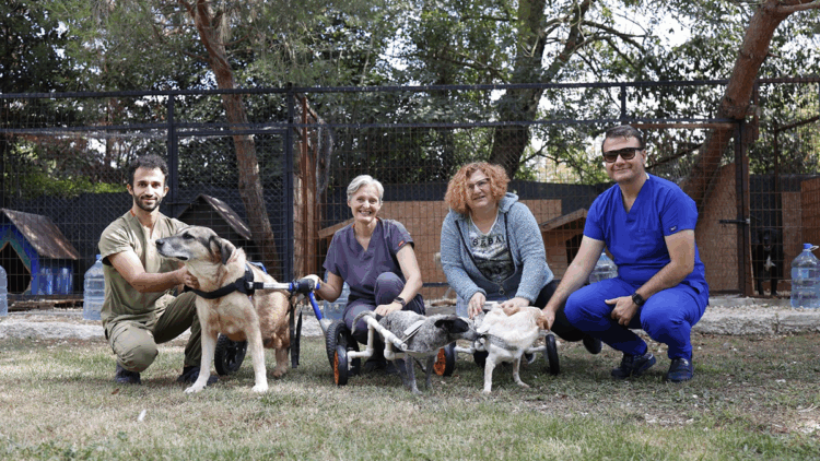 ENCANDER'den ‘4 Ekim Hayvanları Koruma Günü’ kapsamında bağış çağrısı