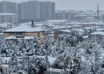 Erzurum kent merkezine kar yağdı