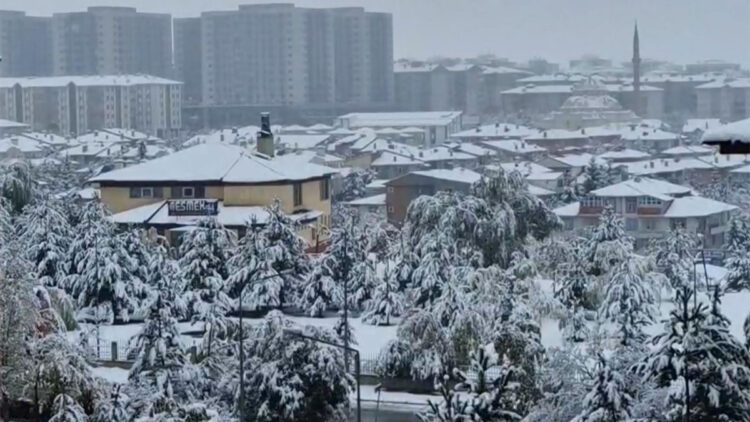 Erzurum kent merkezine kar yağdı