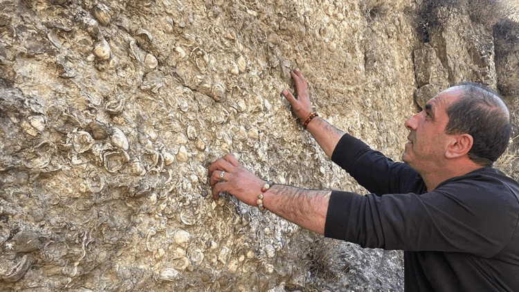 Erzurum'da 200 milyon yıllık deniz fosilleri bulundu