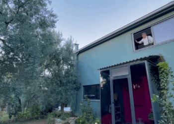 Evinin penceresinden 3 bin yıllık zeytin ağacını izleyerek güne başlıyor