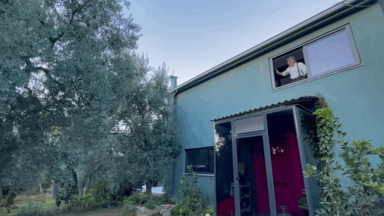 Evinin penceresinden 3 bin yıllık zeytin ağacını izleyerek güne başlıyor