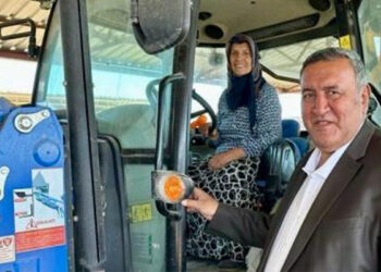 Tarımda kadın var ama güvencede ve gelirde adı yok
