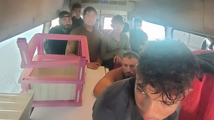 Hatay'da 12 kaçak göçmen yakalandı