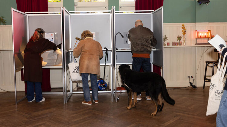 Hollanda'da sandık çıkış anketlerinin sonuçları açıklandı